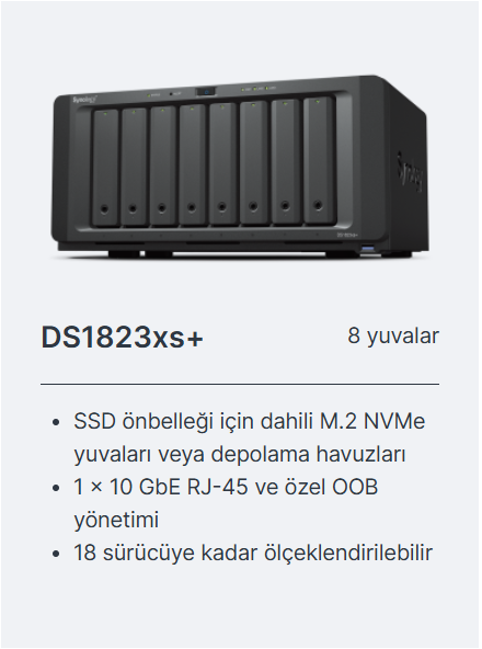 ds1823xs+
