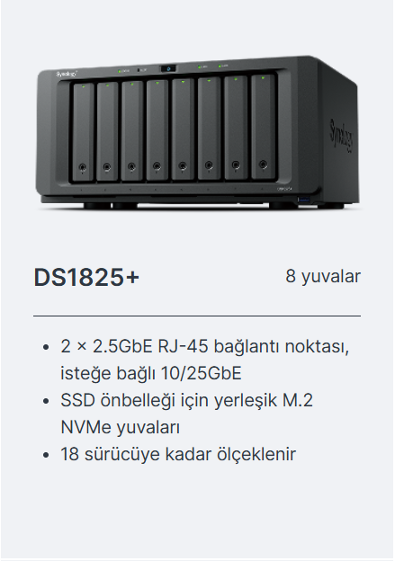 ds1825+